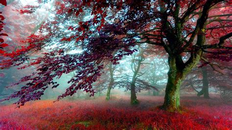 HIGH Definition & Meaning - Merriam-Webster - balustradellc