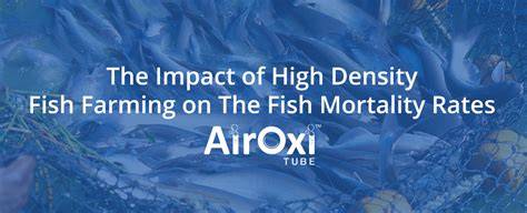 High Density Fish Farming on the Fish Mortality Rates - raincitystudios.com