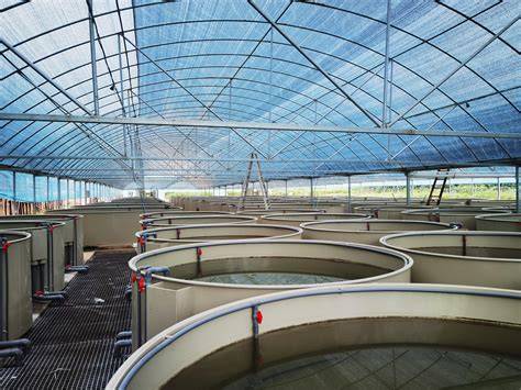 High Density RAS Fish Farming Overview - raincitystudios.com