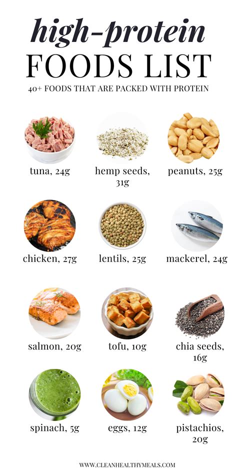 High Protein Foods: 16 Foods for High Protein Meals - balustradellc