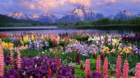 High Res - balustradellc