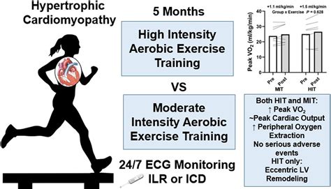 High-intensity exercise and your heart - Harvard Health - balustradellc