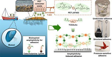 High-performance reversible adhesive from PET waste … - raincitystudios.com