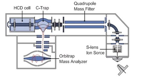 High-resolution mass spectrometry screening in forensic toxicology ... - wintechmobiles.com