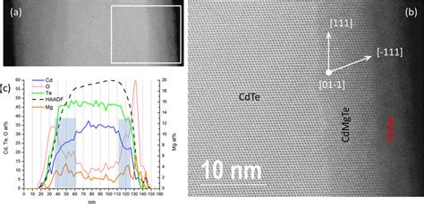 High-Resolution Scanning - Photos, Slides or Negatives - balustradellc