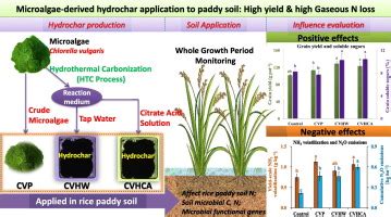 Higher rice productivity and lower paddy nitrogen loss with optimized ... - wintechmobiles.com