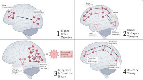 Higher-Order Theories of Consciousness | The Oxford Handbook of … - balustradellc