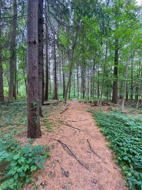 Highland Forest County Park | Inclusive Rec Database - raincitystudios.com