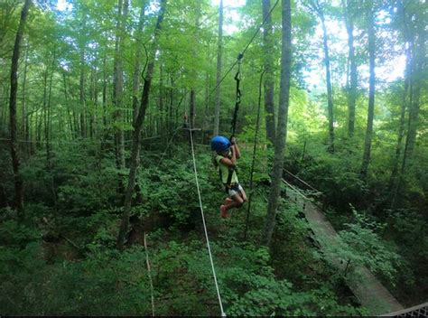 HIGHLANDS AERIAL PARK - 44 Photos & 58 Reviews