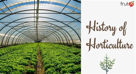 HIGHLIGHT HORTICULTURE LIMITED filing history - Find and …