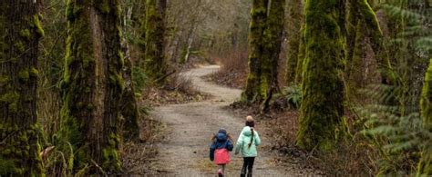 Hike These Awe-Inspiring Rainforest Hiking Trails - The Getaway - balustradellc