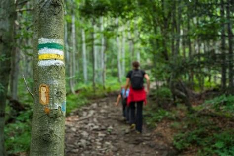 Hiking for Beginners: Getting Started | REI Expert Advice - balustradellc