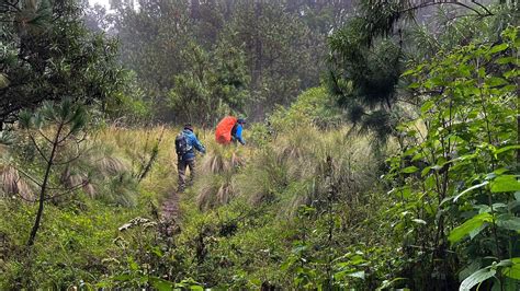 Hiking In Mexico - 9 Top Trails For Hiking Enthusiasts - wintechmobiles.com
