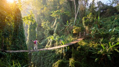 Hiking in the jungle: prepare for the adventure of a lifetime - balustradellc
