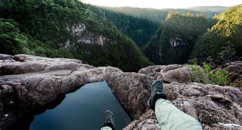 Hiking in the Wet Tropics FNQ | Barefoot Tours | … - balustradellc