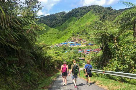 Hiking the Cameron Highlands - Trail 10 All You Need … - raincitystudios.com