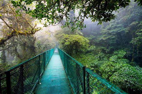 Hiking Through the Monteverde Cloud Forest in Costa Rica: A Magical ... - raincitystudios.com