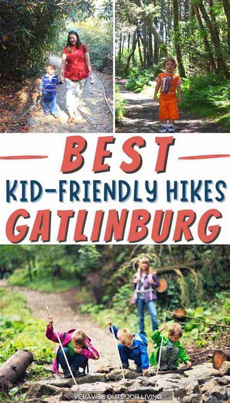 Hiking with Kids: Family-Friendly Trails and Tips - balustradellc