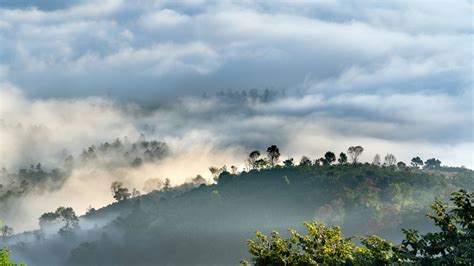 Hills cloud - muktibox.com