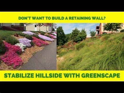 HILLSIDE STABILITY USING PLANT MATERIAL - raincitystudios.com