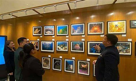 Hilton Clark chef dives into underwater photography - SUNSTAR - raincitystudios.com