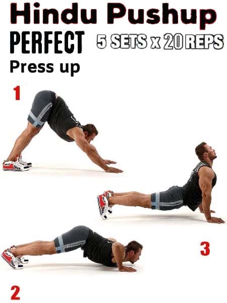 Hindu push up for training shoulders triceps and chest - balustradellc