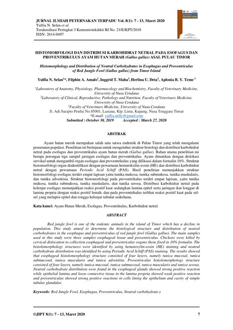 HISTOMORFOLOGI DAN DISTRIBUSI KARBOHIDRAT NETRAL … - balustradellc