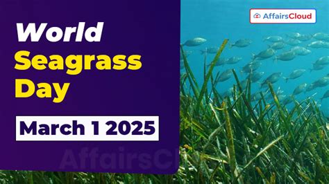 Historic Dates : 3. World Seagrass Day - muktibox.com