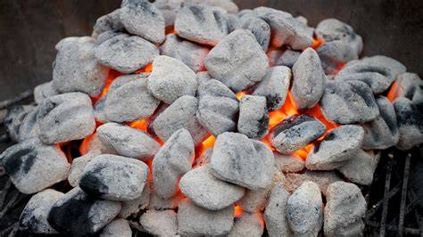 HISTORY AND FUNDAMENTALS OF THE CHARCOAL PROCESS - raincitystudios.com