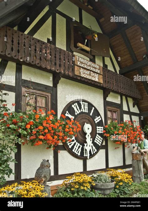 History of the Black Forest Cuckoo Clock - wintechmobiles.com