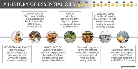 History of the Origin of Essential Oils - Ancient … - wintechmobiles.com