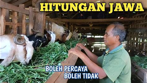Hitungan Jawa Beli Hewan Ternak - balustradellc