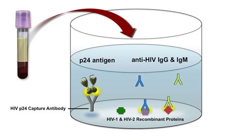 HIV p24 Antigen/Antibody With Reflex to Confirmation - Labcorp