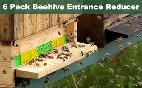 Hive Entrance Hive royalty-free images - Shutterstock - raincitystudios.com