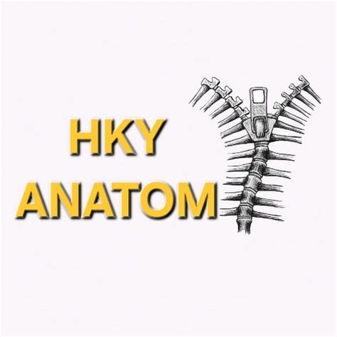 HKY ANATOMY YouTube.