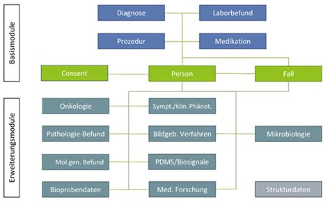 HL7-FHIR Praxisprüfung