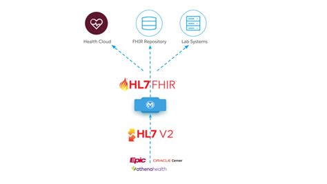 HL7-FHIR Probesfragen