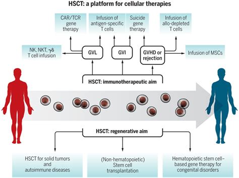 HLA Today - Hematopoietic Cell Transplantation (HCT)