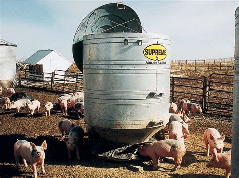 Hog Feeders and Pig Feeders - Barn World - balustradellc