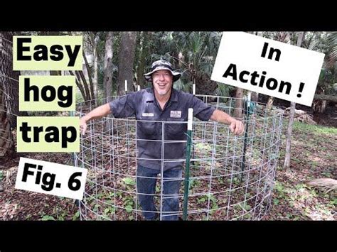 Hog Trap Design - Coping with Feral Hogs - balustradellc