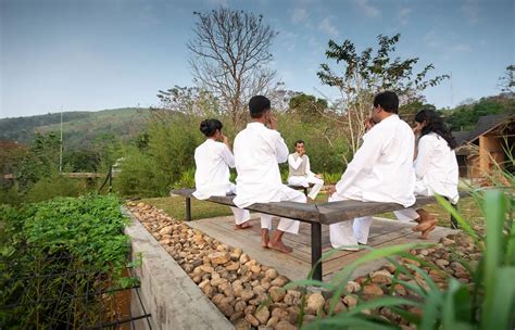 Holistic Healing Therapies and Retreats | Healing Holidays - balustradellc