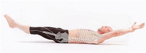 Hollow body hold position: Proper form, mistakes, … - balustradellc