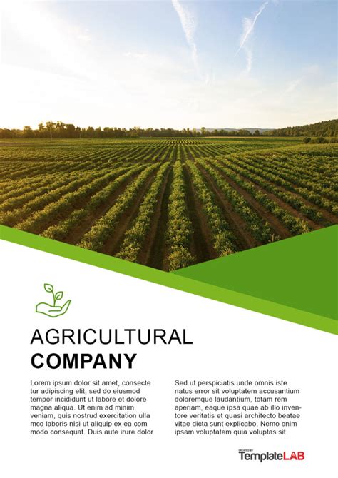 HOLLYCOMBE FARMING LIMITED Company Profile Otane, New …