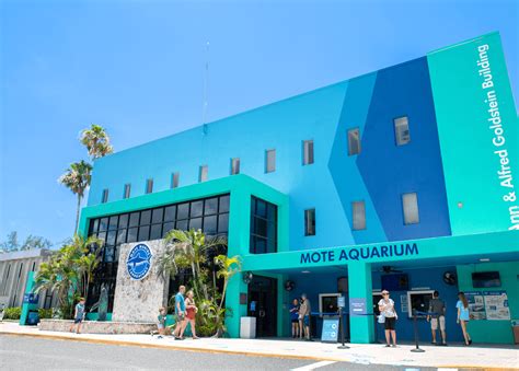 Home | Mote Marine Laboratory & Aquarium - muktibox.com