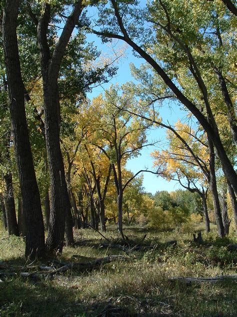 Home | Nebraska National Forests and Grasslands | Forest Service - raincitystudios.com