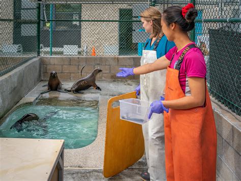 Home | The Marine Mammal Center - raincitystudios.com