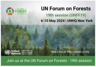 Home | United Nations Forum on Forests - muktibox.com