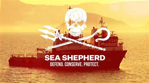 Home — Sea Shepherd Conservation Society - raincitystudios.com