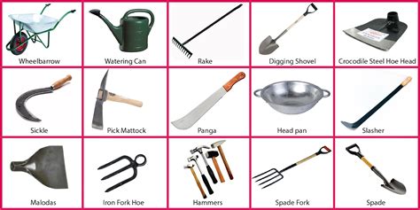 Home Farming Tools & Tips For Sustainable Yields 2026 - raincitystudios.com