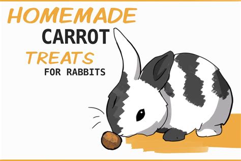Homemade Baked Carrot Truffle Treats for Rabbits - raincitystudios.com